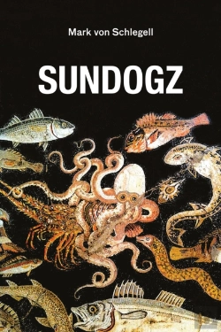 Bertrand.pt - Sundogz