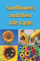 Sunflowers And Their Life Cycle