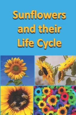 Bertrand.pt - Sunflowers And Their Life Cycle