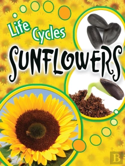 Bertrand.pt - Sunflowers
