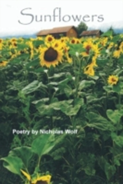 Bertrand.pt - Sunflowers