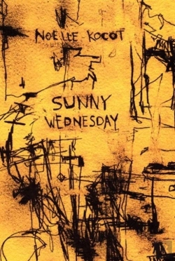 Bertrand.pt - Sunny Wednesday