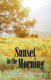 Sunset In The Morning
