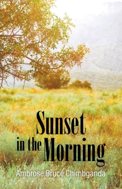 Bertrand.pt - Sunset In The Morning