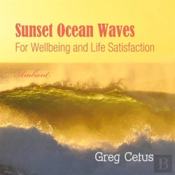Bertrand.pt - Sunset Ocean Waves