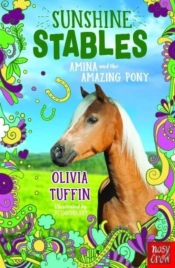 Sunshine Stables: Amina And The Amazing Pony