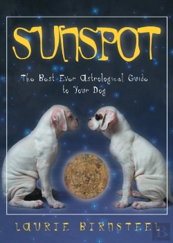 Bertrand.pt - Sunspot