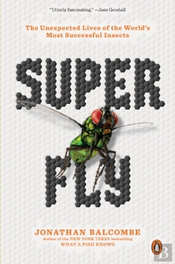 Bertrand.pt - Super Fly