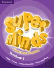 Super Minds American English Level 6 Workbook