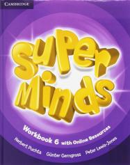 Super Minds Level 6