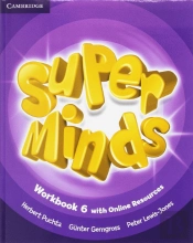 Super Minds Level 6