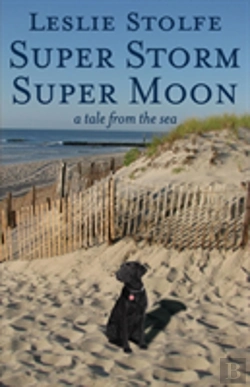 Bertrand.pt - Super Storm Super Moon