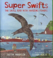 Super Swifts: The Small Bird With Amazing Powers