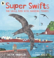 Super Swifts: The Small Bird With Amazing Powers