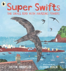 Bertrand.pt - Super Swifts: The Small Bird With Amazing Powers