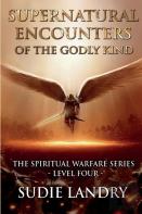 Supernatural Encounters Of The Godly Kind - The Spiritual Warfare Series - Level Four