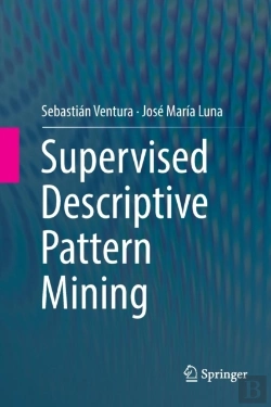 Bertrand.pt - Supervised Descriptive Pattern Mining
