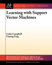 Support Vector Machines And Other Kernel-Based Learning Machines