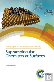 Supramolecular Chemistry At Surfaces