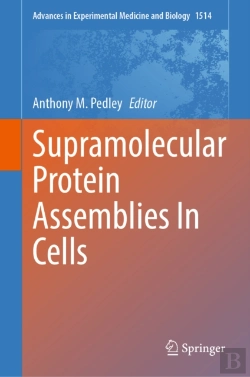 Bertrand.pt - Supramolecular Protein Assemblies In Cells