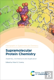 Supramolecular Protein Chemistry