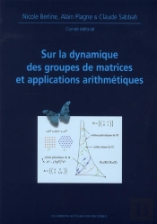 Sur La Dynamique Des Groupes De Matrices & Applications Arithmetiques