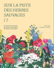 Sur La Piste Des Herbes Sauvages 2