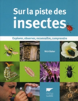 Bertrand.pt - Sur La Piste Des Insectes ; Explorer, Observer, Reconnaître, Comprendre