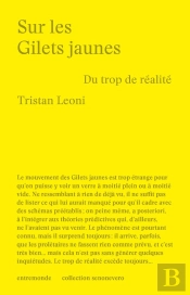 Sur Les Gilets Jaunes : Du Trop De Réalité