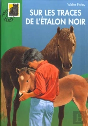 Sur Les Traces De L'Etalon Noir