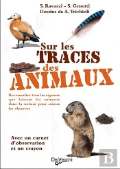 Sur Les Traces Des Animaux