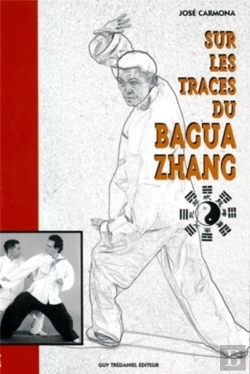 Bertrand.pt - Sur Les Traces Du Bagua Zhang