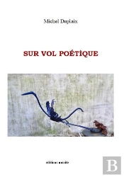 Sur Vol Poétique