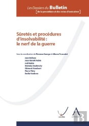Sûretés Et Procédures D'Insolvabilité : Le Nerf De La Guerre
