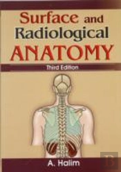 Surface And Radiological Anatomy