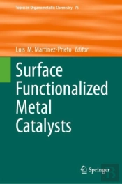 Surface Functionalized Metal Catalysts