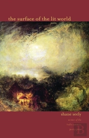 Surface Of The Lit World