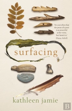 Bertrand.pt - Surfacing