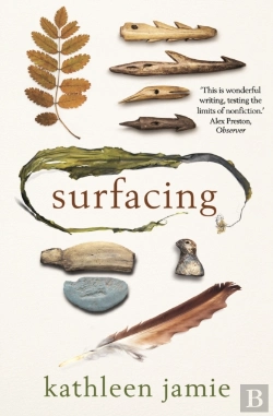Bertrand.pt - Surfacing