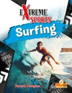 Bertrand.pt - Surfing