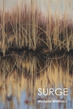 Bertrand.pt - Surge