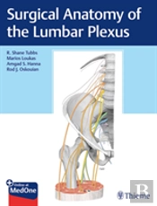 Surgical Anatomy Of The Lumbar Plexus