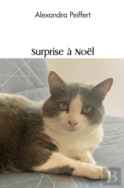 Surprise À Noël