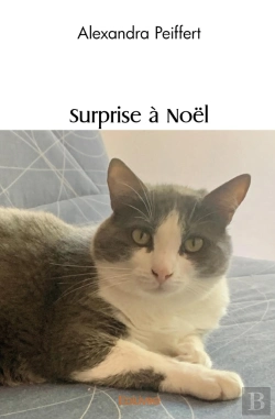 Bertrand.pt - Surprise À Noël