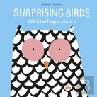 Surprising Birds: Lift-The-Flap Colours