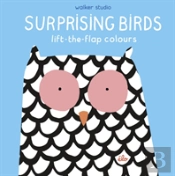Surprising Birds: Lift-The-Flap Colours