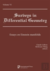 Surveys In Differential Geometry Vol 6