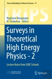 Surveys In Theoretical High Energy Physics - 2