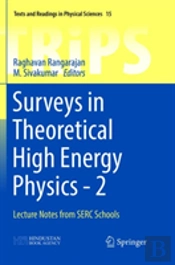Surveys In Theoretical High Energy Physics - 2