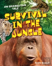 Survival In The Jungle